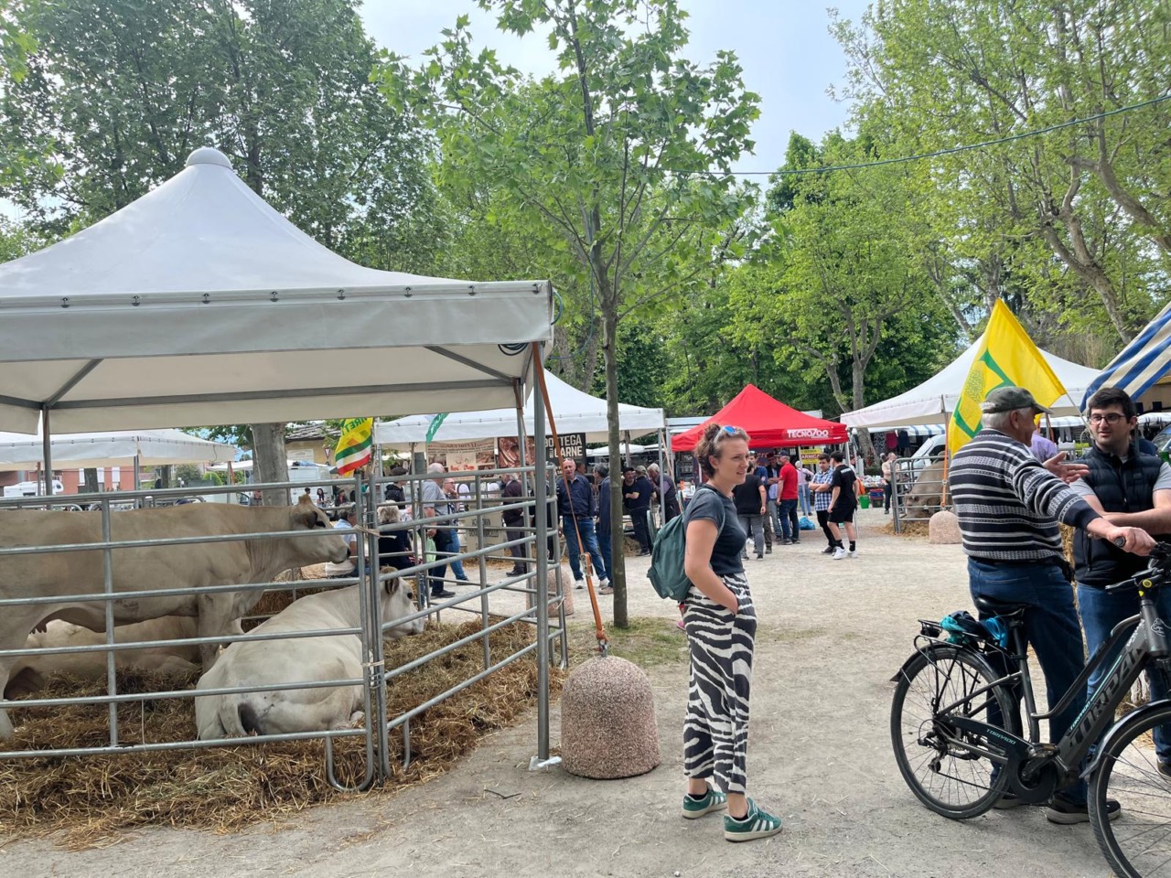 Cavour terre Cibo
