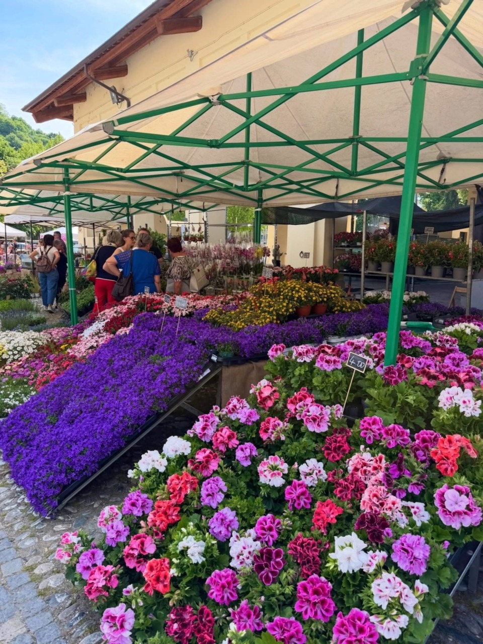 composizione cavour fiore