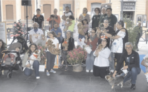 Nen Mac Tabui, in passerella gli amici a quattro zampe