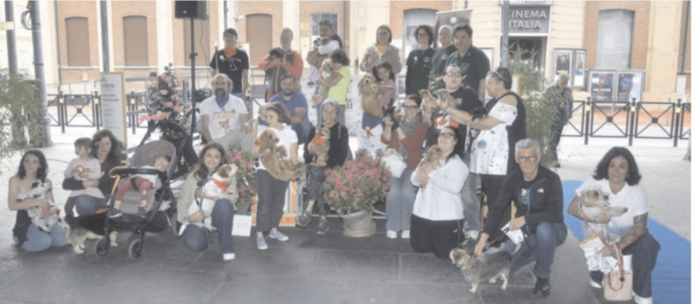 Nen Mac Tabui, in passerella gli amici a quattro zampe