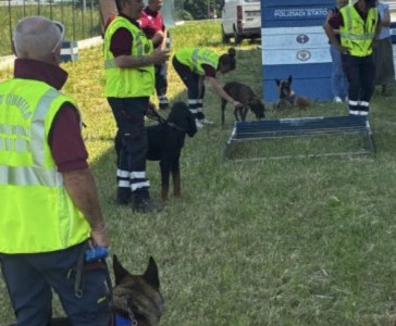 Bagnolo, a lezione con i cani poliziotto