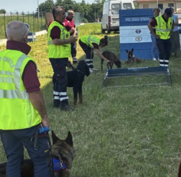 Bagnolo, a lezione con i cani poliziotto