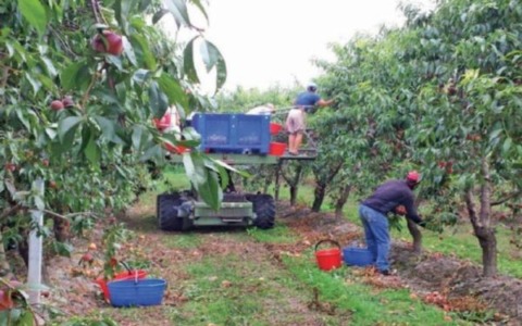 Dal caso Saluzzo al modello Piemonte Relazione sullo sfruttamento agricolo