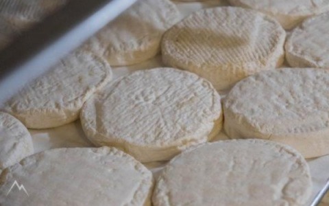 Toumin dal Mel, gloria del gusto