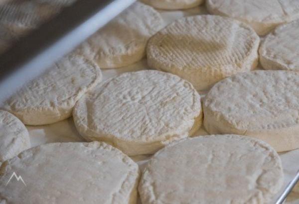 Toumin dal Mel, gloria del gusto