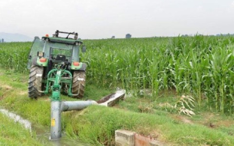 Estate torrida, frutta in sofferenza tra crisi idrica e costi insostenibili agricoltura