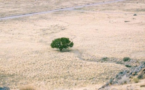 Troppa acqua o troppo poca E l’agricoltura paga il conto
