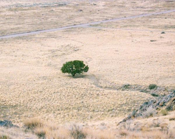 Troppa acqua o troppo poca E l’agricoltura paga il conto