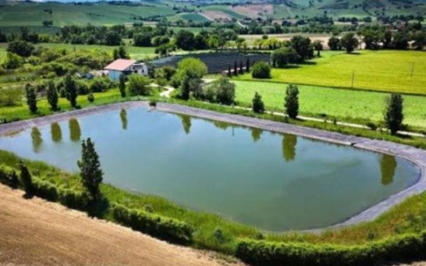 Investimenti irrigui in agricoltura