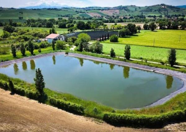 Investimenti irrigui in agricoltura