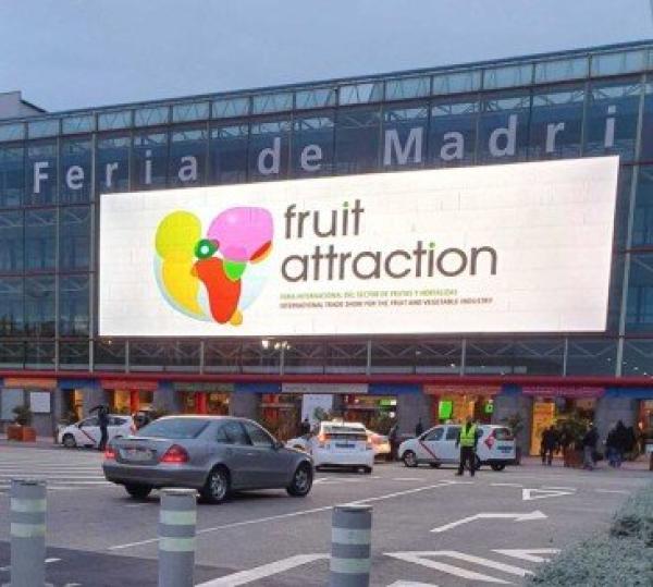 Il mondo frutta saluzzese in scena all’expo di Madrid