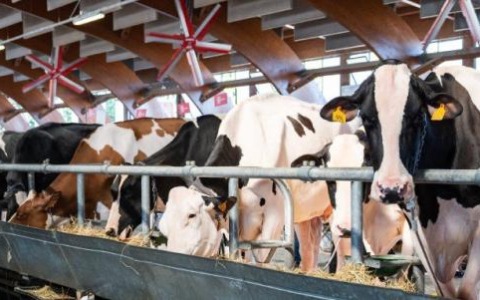 La tecnologia, il legno, la zootecnia A Saluzzo la “nuova” agricoltura