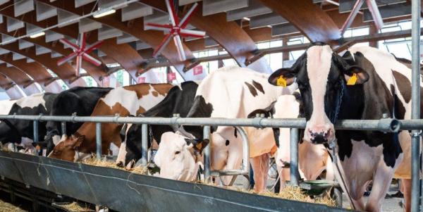 La tecnologia, il legno, la zootecnia A Saluzzo la “nuova” agricoltura