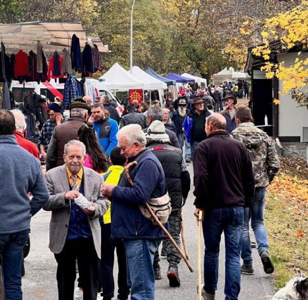 Torna la Fiero di Son Martin a Casteldelfino